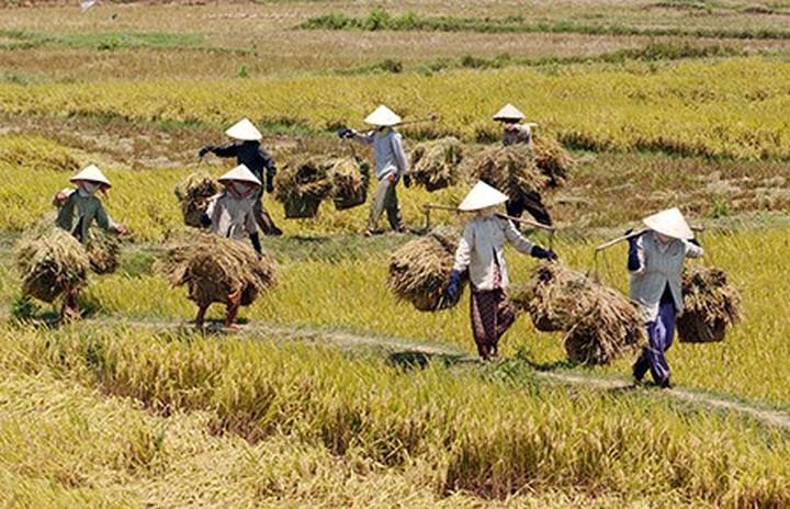 Từ Gần 300 bé mẫu giáo