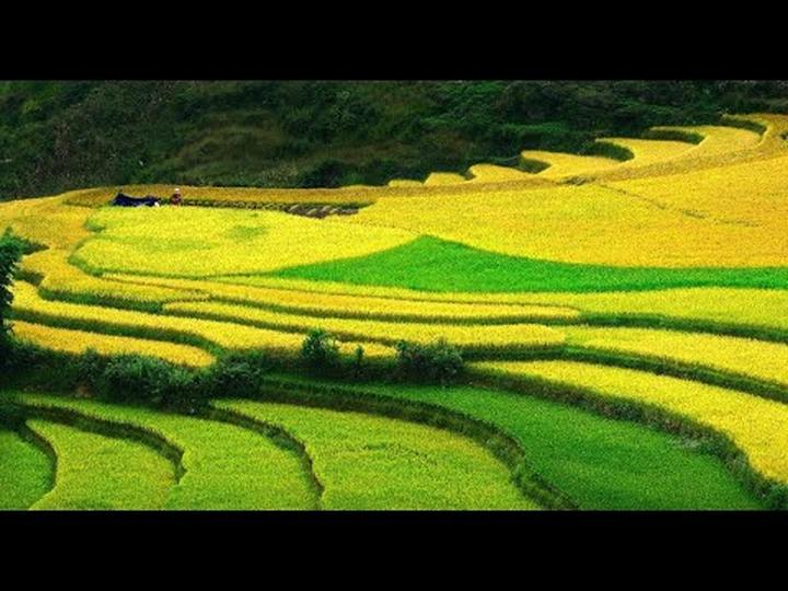 Hotspot Matrix: Biến Cửa hàng đóng cửa, hàng hóa thành cơ hội marketing đột phá