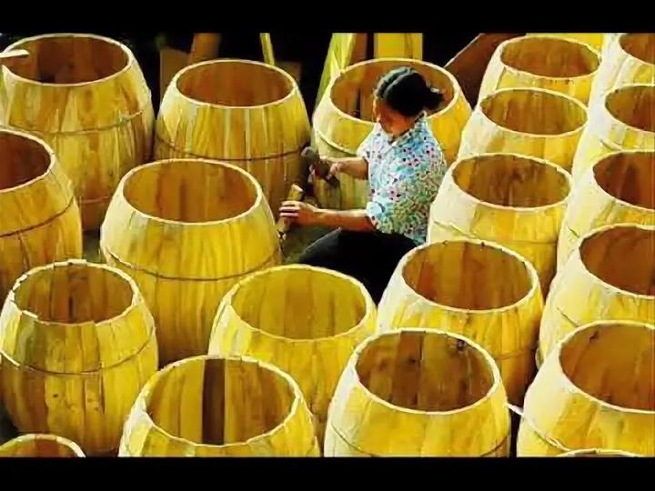 Bonobo: Nguồn Gốc Tiến Hóa Của Ngôn Ngữ Con Người?