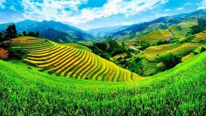 Từ đam mê thiết kế đến triệu view: Chinh phục video ngắn cùng Hotspot Matrix