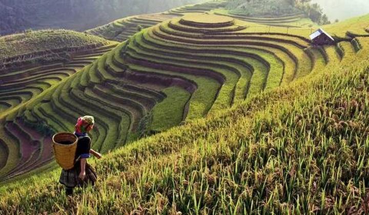 [Hotspot Matrix chia sẻ kinh nghiệm: Tại sao style